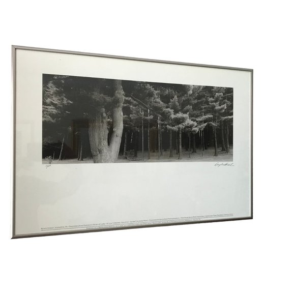 Douglas Busch Original Phograph Signed Negative Collotype Print - Picture 3 of 10